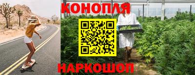 прущие крисы Пугачёв