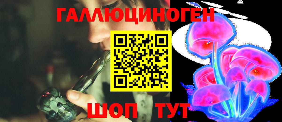 Псилоцибиновые грибы Psilocybe Альметьевск