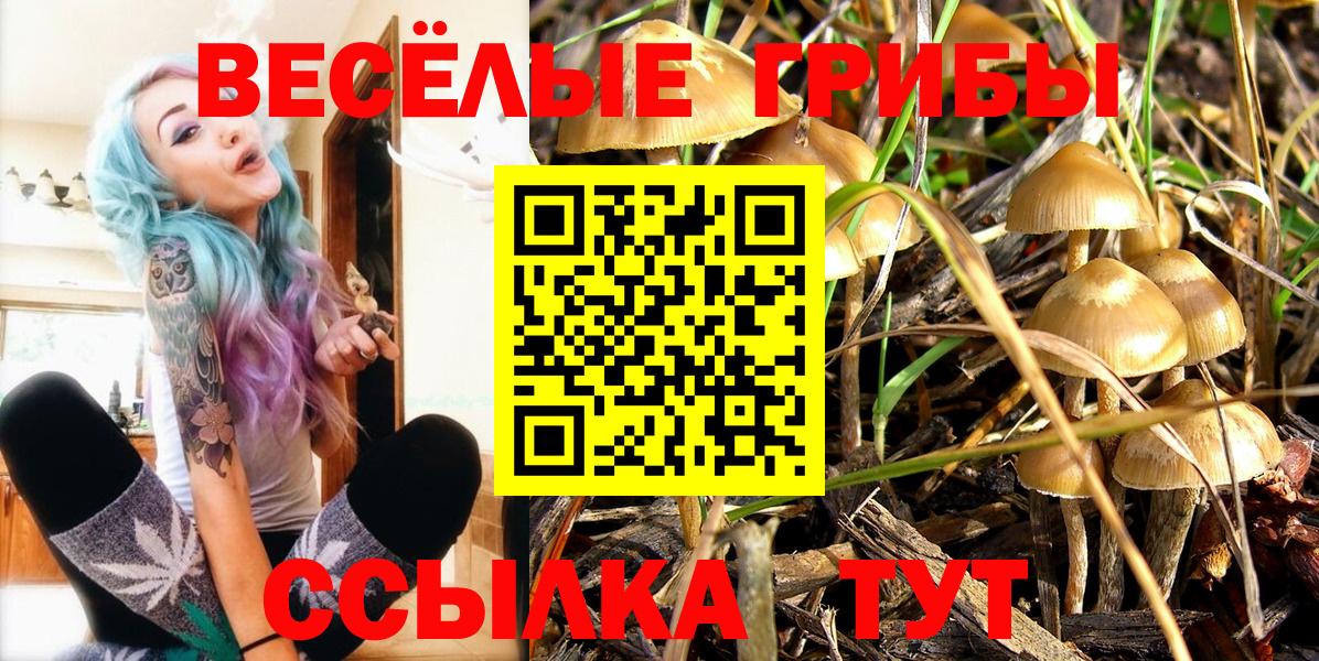 Псилоцибиновые грибы Psilocybe  Псилоцибиновые грибы мицелий  Вход с VPN  даркнет сайт  Альметьевск 